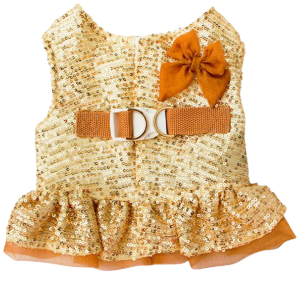 Peitoral Paetê Dourado Claro Fem