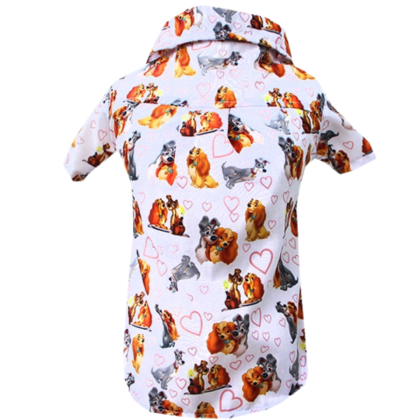 Camisa Dama e o Vagabundo