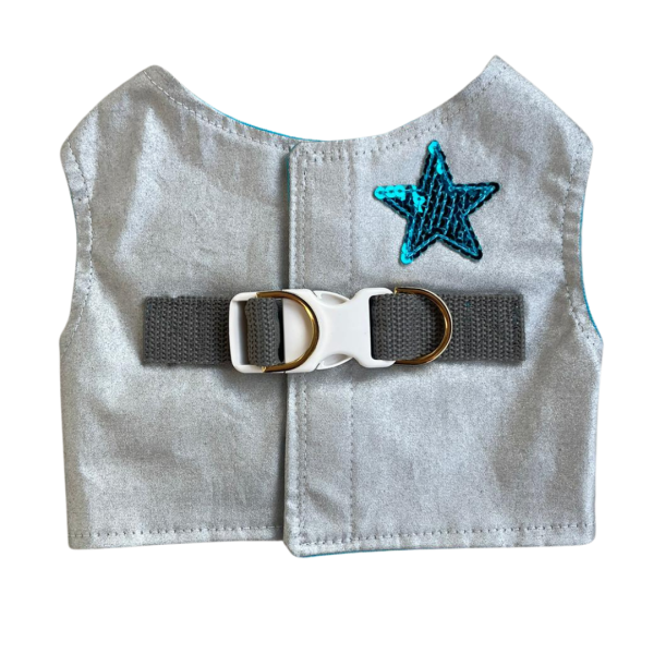 Peitoral Prata Estrela Masc