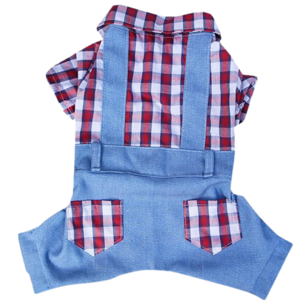 Short c/ Camiseta Xadrez Vermelho com Jeans