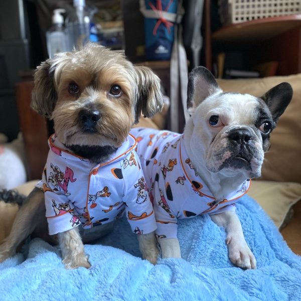 Pijama 2 Patas Flintstones