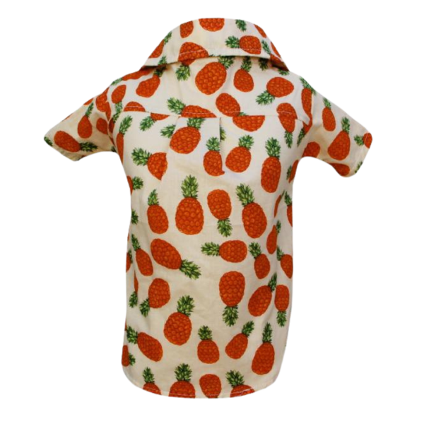 Camisa Abacaxi Laranja