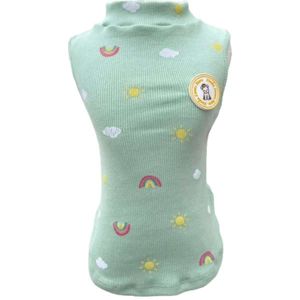 Regata Canelada Ribana Arco Íris Verde Masc